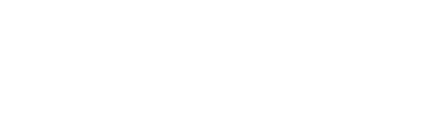VisualSoft logo